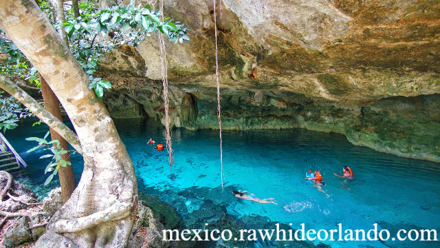 Cenote Yucatan Petualangan Unik di Danau Alami dalam Gua