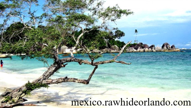 Menikmati Keajaiban Alam di Pantai Mazunte Pasir Halus